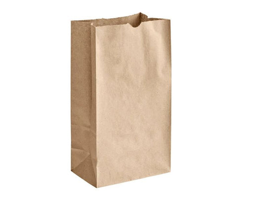 TO GO  4 lb. White Paper Bag - 500/Bundle